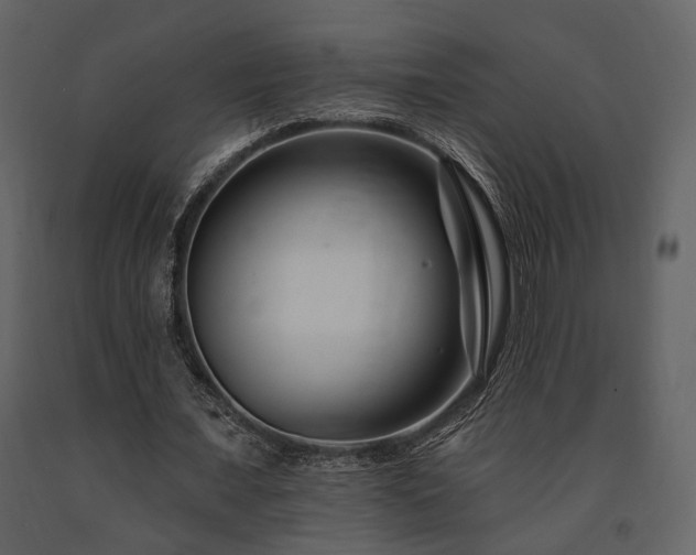 X0000091670675200708231330