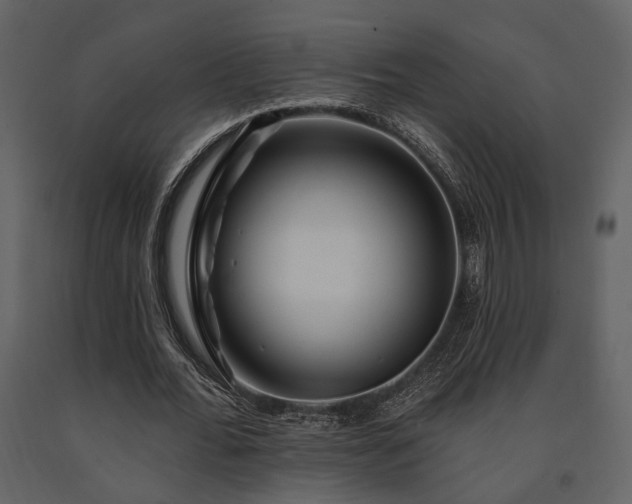 X0000091670676200708231330