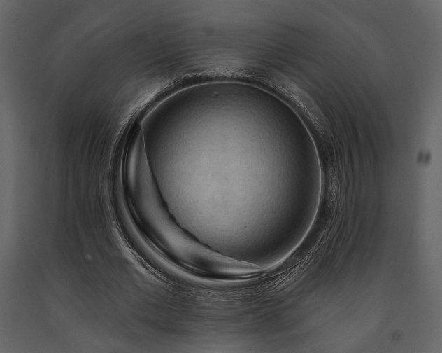 X0000091670677200708231330