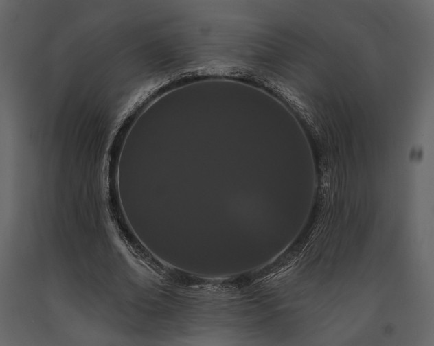 X0000091670678200708231330