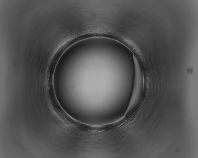 X0000091670680200708231330
