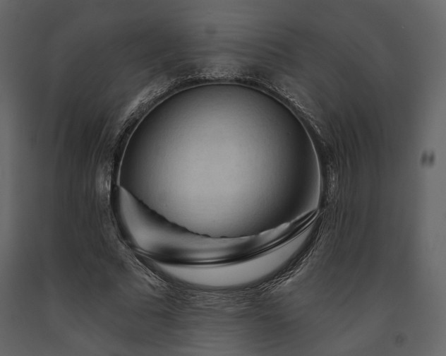 X0000091670681200708231330