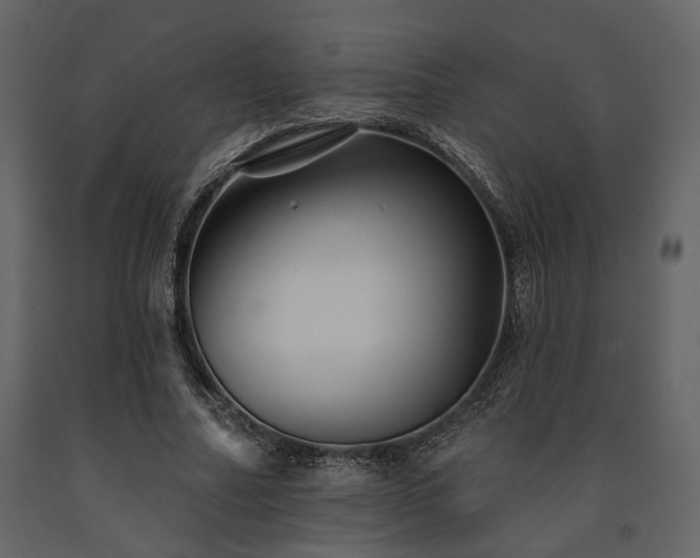 X0000091670682200708231330