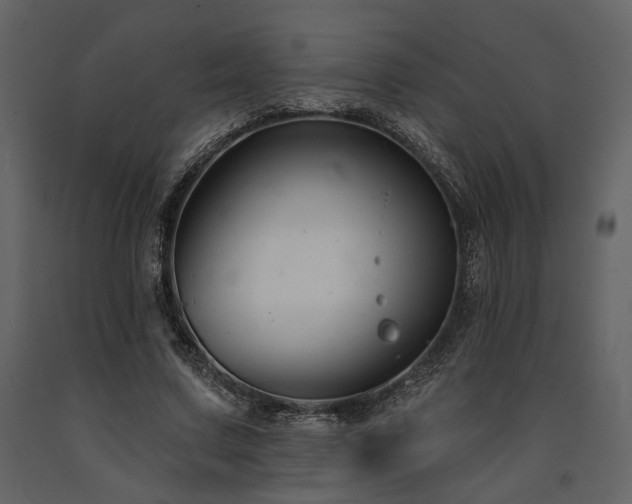 X0000091670683200708231330