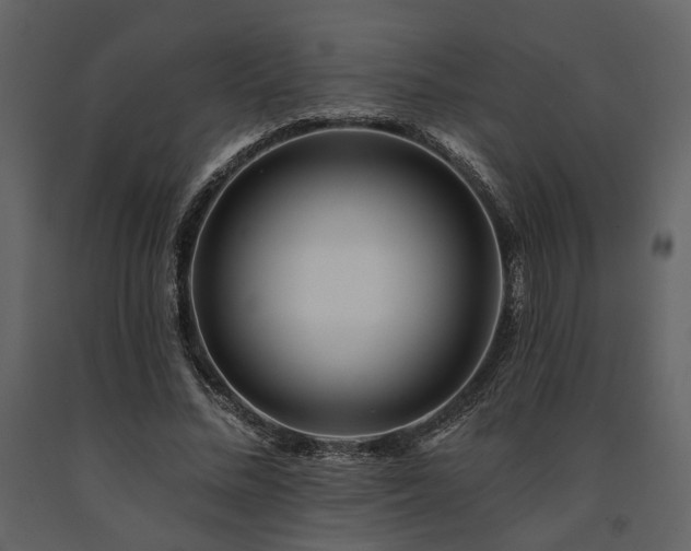 X0000091670684200708231330