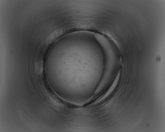X0000091670685200708231330