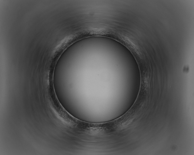 X0000091670686200708231330