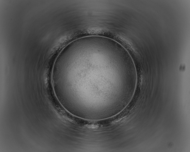 X0000091670687200708231330