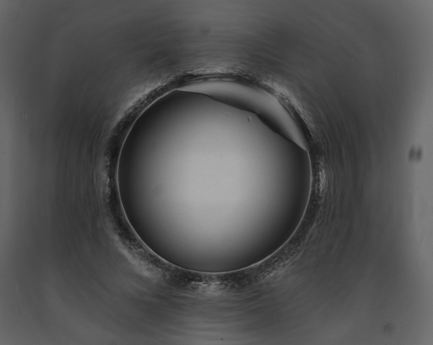 X0000091670688200708231330