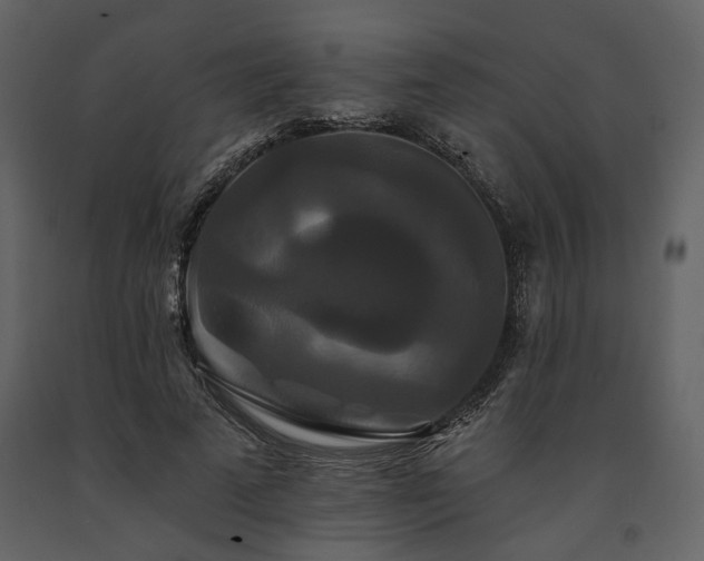 X0000091670689200708231330