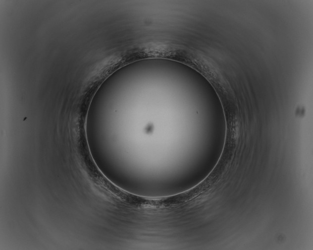 X0000091670690200708231330