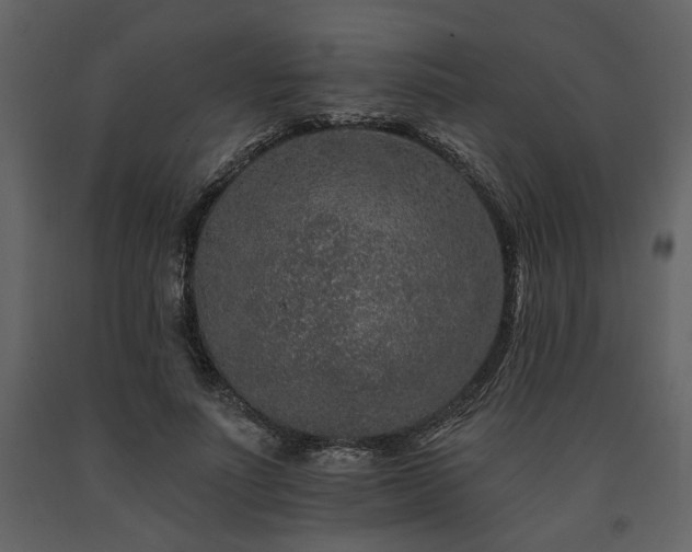 X0000091670691200708231330