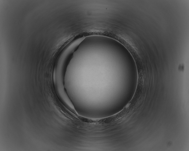 X0000091670692200708231330