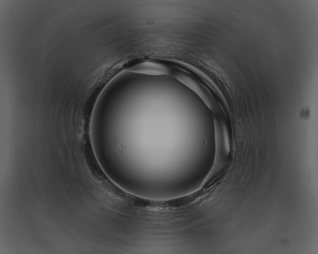 X0000091670693200708231329