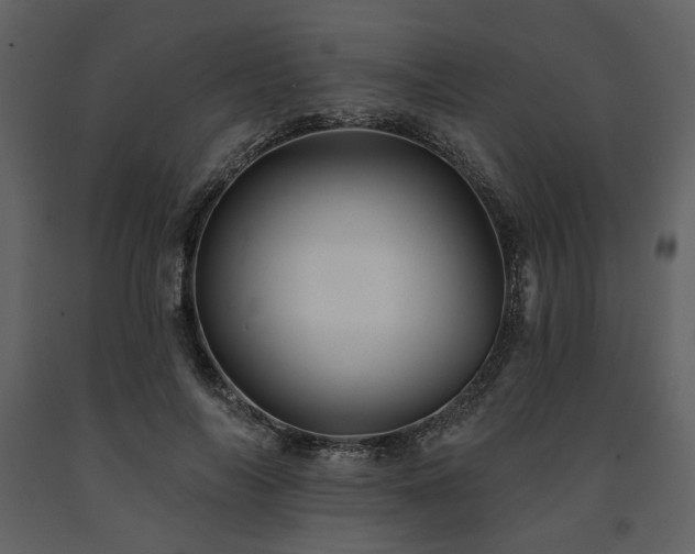 X0000091670694200708231329