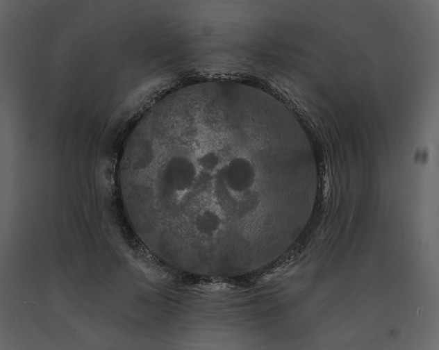 X0000091670695200708231329