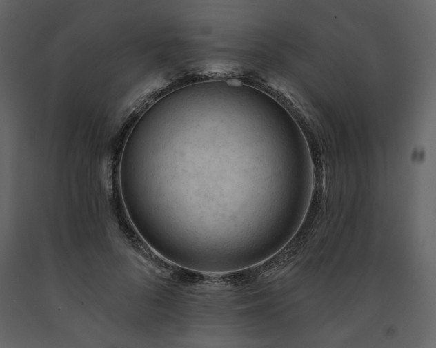 X0000091670696200708231329