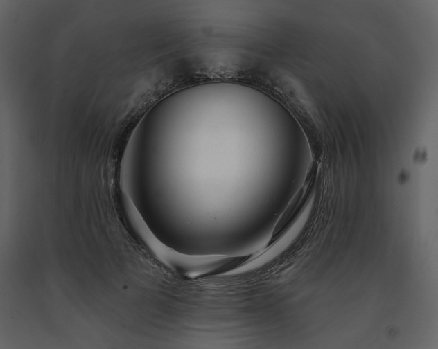 X0000091670697200708231329