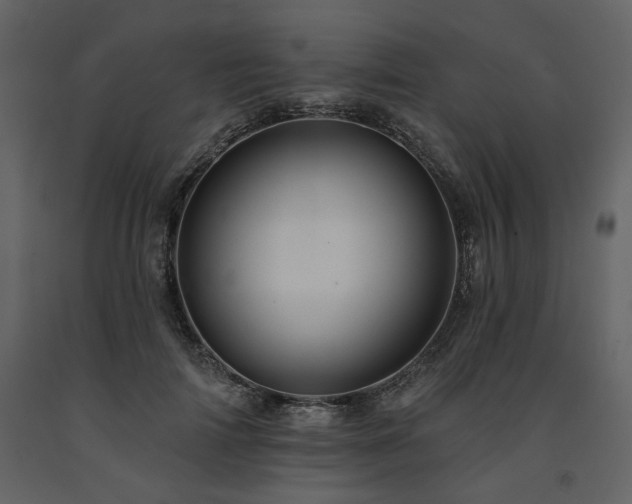 X0000091670698200708231329