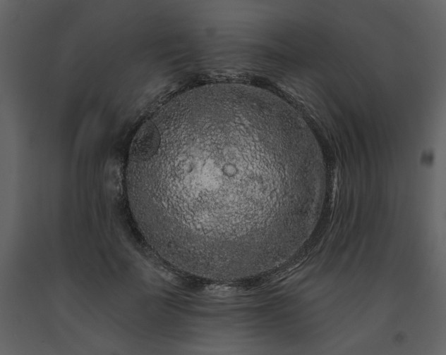 X0000091670699200708231329