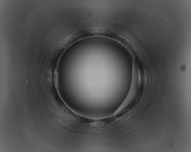 X0000091670700200708231329