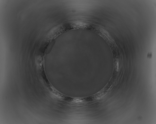 X0000091670701200708231329