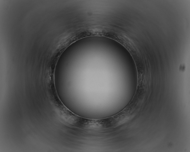 X0000091670702200708231329