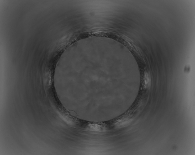 X0000091670703200708231329