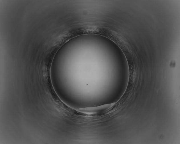 X0000091670704200708231329