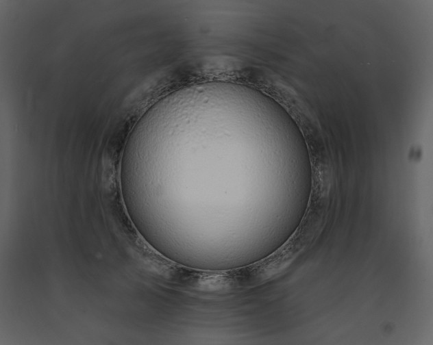 X0000091670705200708231329