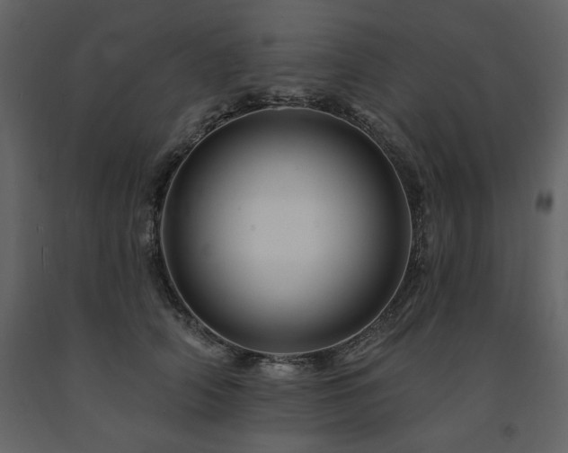 X0000091670706200708231329