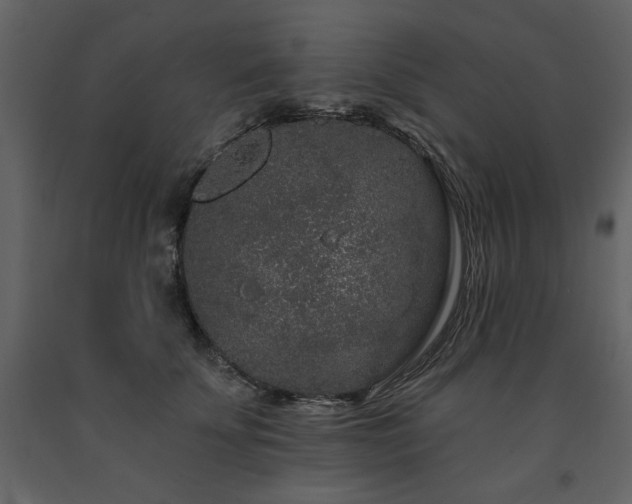 X0000091670707200708231329