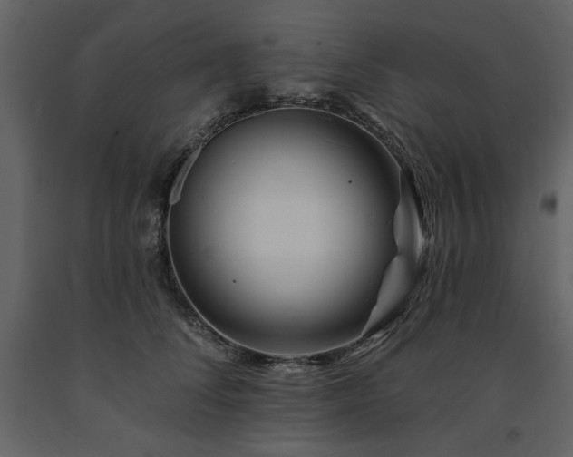X0000091670708200708231329