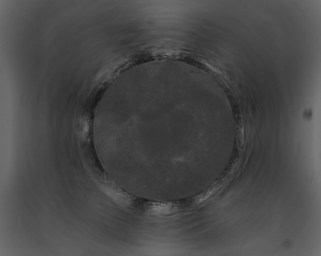 X0000091670709200708231329