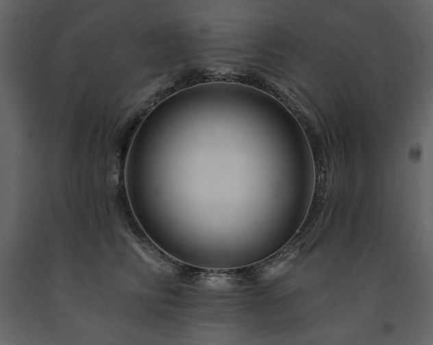 X0000091670710200708231329