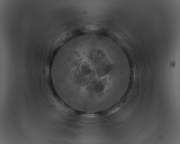 X0000091670711200708231329