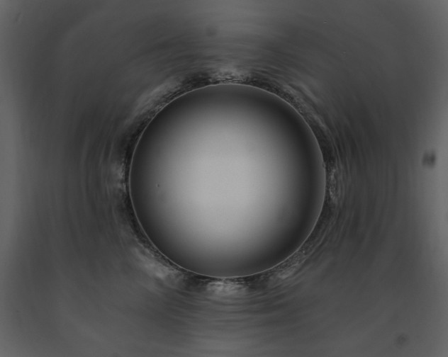 X0000091670714200708231329