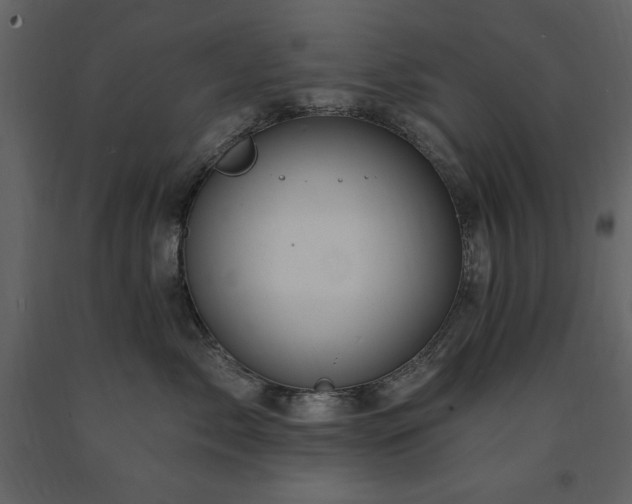 X0000091670717200708231329