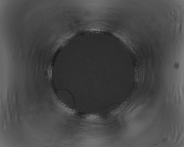 X0000091670718200708231329