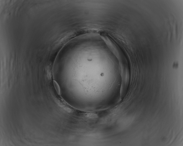 X0000091670719200708231329
