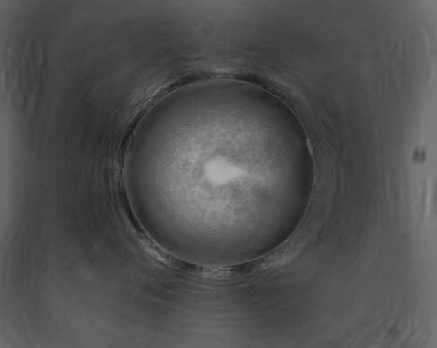 X0000091670720200708231329