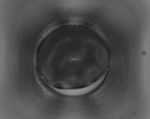 X0000091670722200708231328