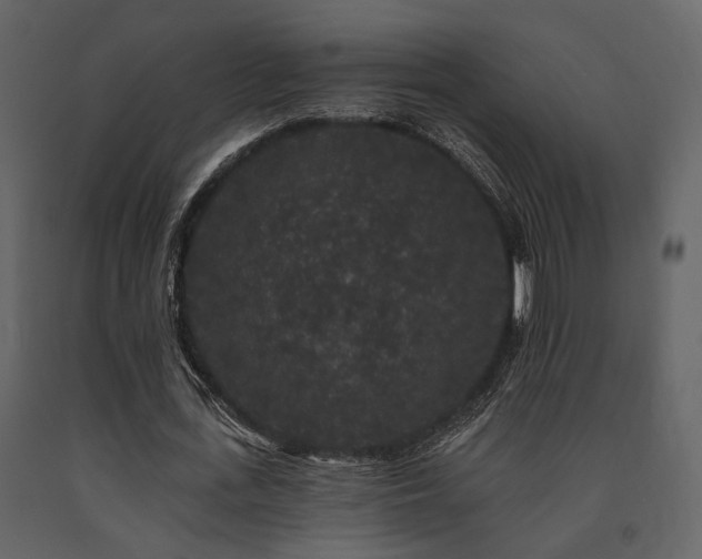 X0000091670723200708231328