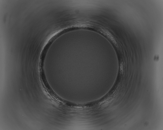 X0000091670724200708231328