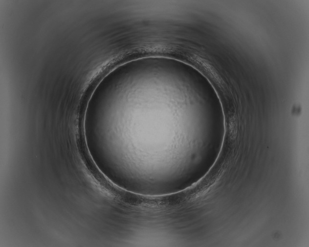 X0000091670725200708231328