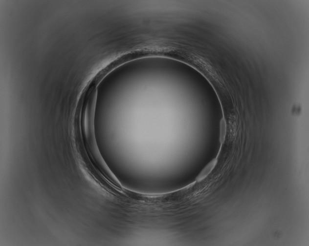 X0000091670726200708231328