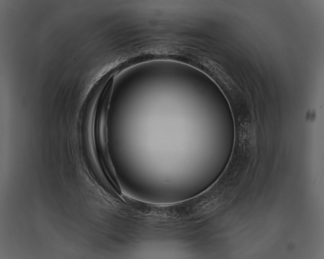 X0000091670727200708231328