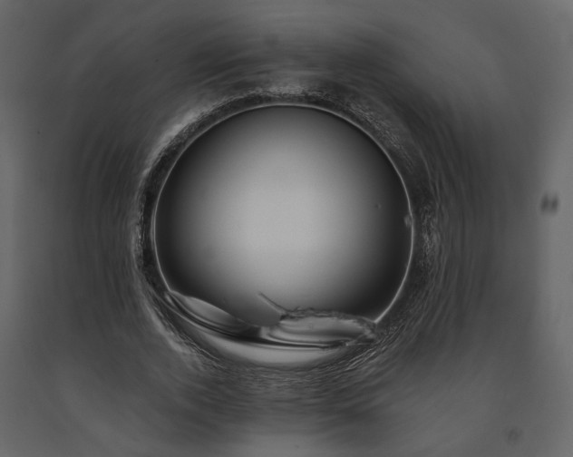 X0000091670728200708231328