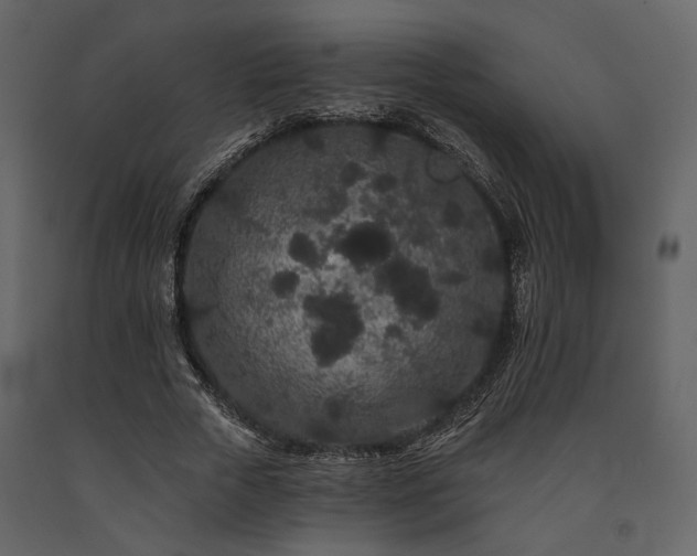 X0000091670729200708231328