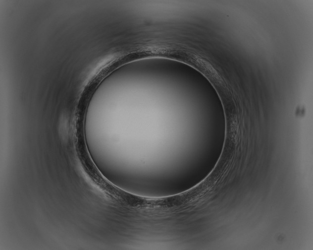 X0000091670730200708231328